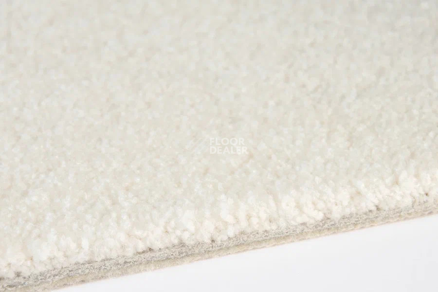 Vorwerk Superior 1065/Viola Vorwerk 6c71 фото 3 | FLOORDEALER